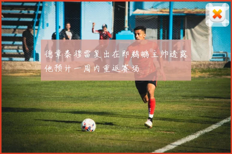 德章泰穆雷复出在即鹈鹕主帅透露他预计一周内重返赛场